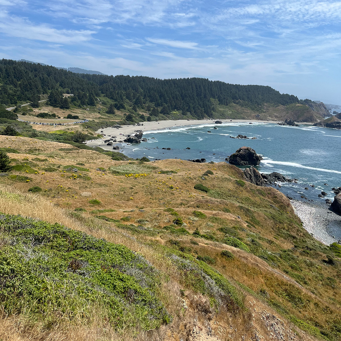 Oregon coast headland with meadow, sandy beach cove, and rocky shoreline — the kind of site and landscape that informs sustainable design at Tweto Architecture