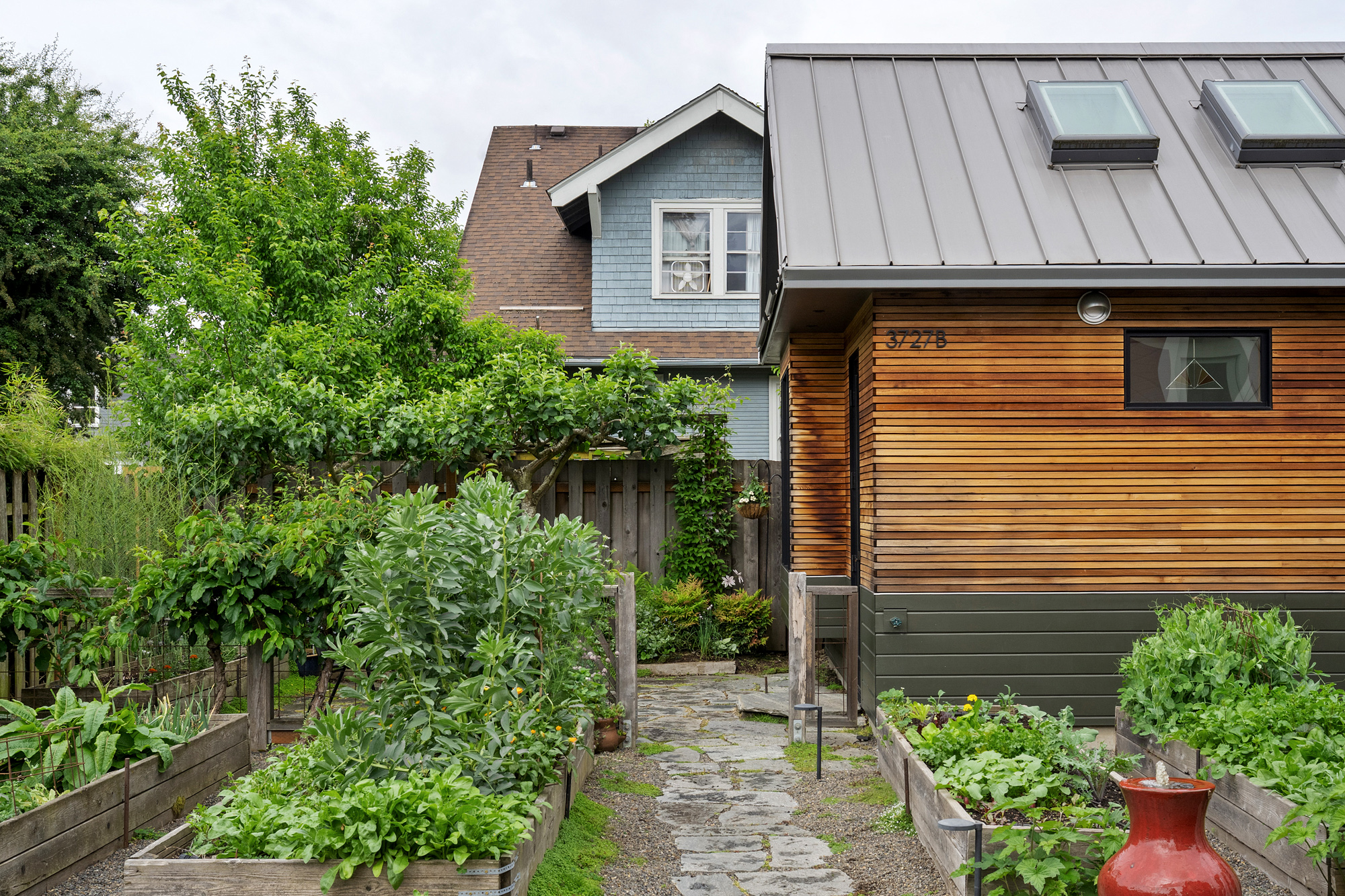 View down a garden path lined with raised vegetable beds toward the Irving Park ADU's cedar-clad gable end and standing-seam metal roof, NE Portland by Tweto Architecture