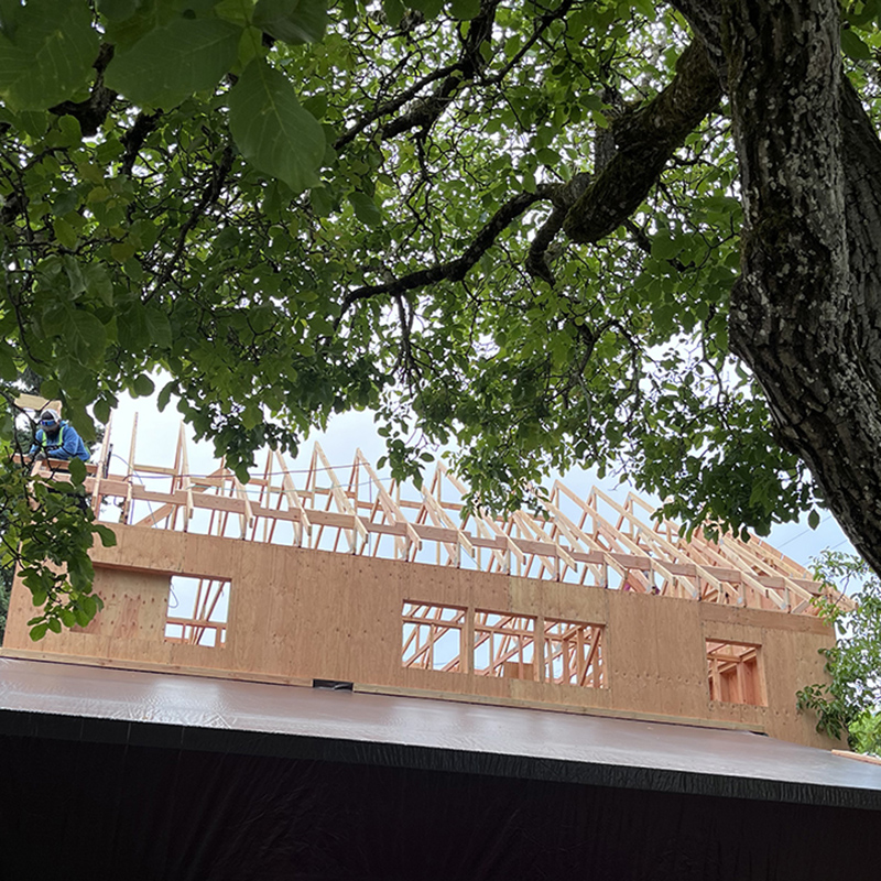 Residential framing under construction, roof trusses being set with a worker visible, seen through a large tree canopy
